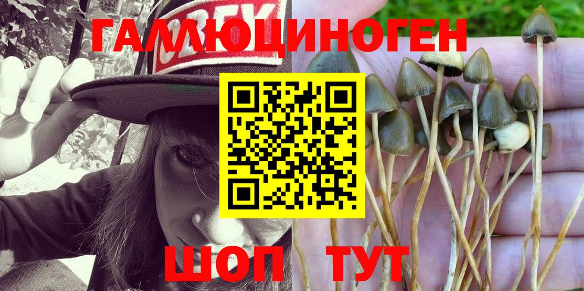 Галлюциногенные грибы Psilocybe  Вход с VPN  Заводоуковск  Псилоцибиновые грибы ЛСД 